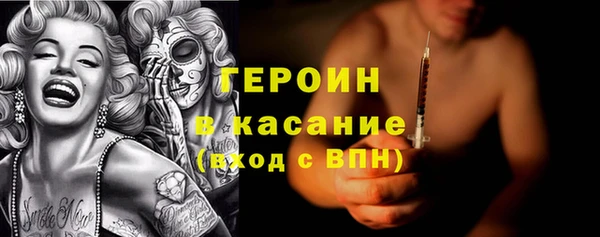 стаф Алексин