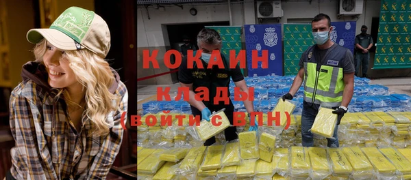 молекула духа Алексеевка